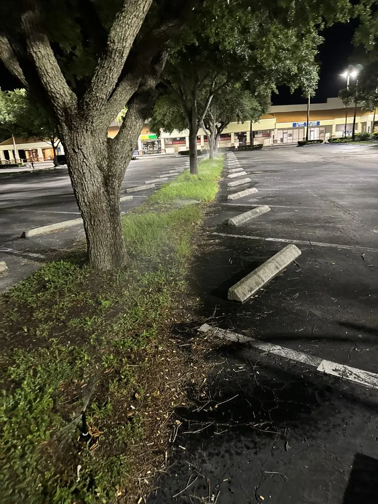 Custom lawn care service in Palmetto, FL - Superlative Property Services