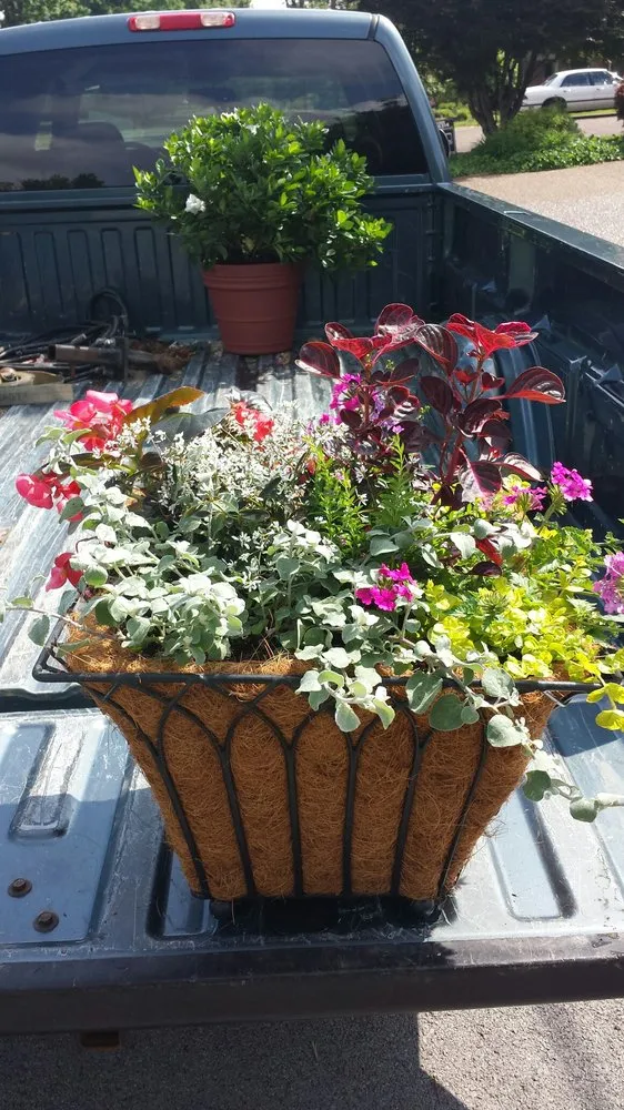 Expert landscaping services for year-round maintenance in Hopkinsville, KY by Superlawn & Garden Center