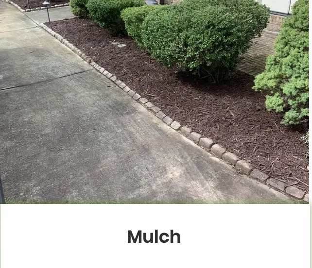 Custom landscaping services experts serving Sandy Springs, GA - Superlush Landscaping