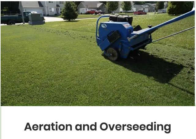 Top-rated yard cleanup service experts serving Sandy Springs, GA - Superlush Landscaping