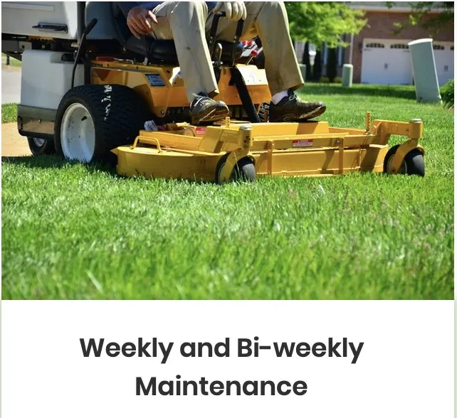 Trusted lawn mowing service in Sandy Springs, GA - Superlush Landscaping