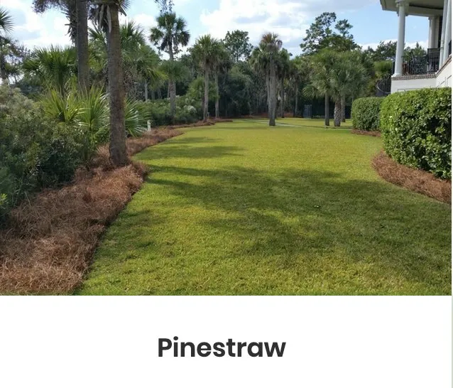 Affordable yard cleanup service in Sandy Springs, GA by Superlush Landscaping