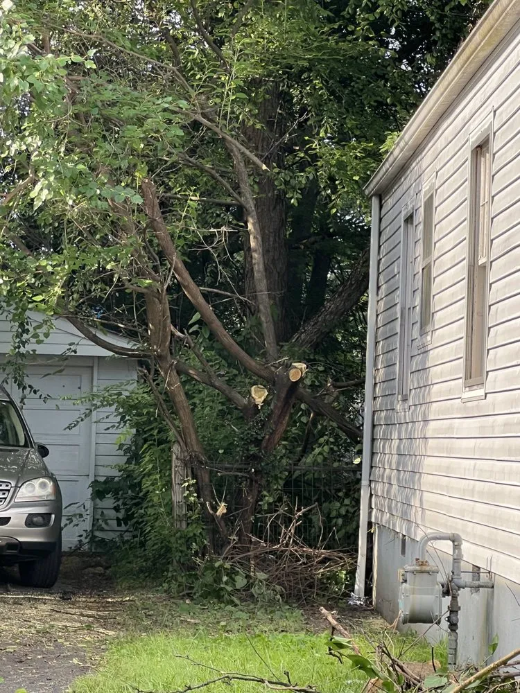 Top-rated yard maintenance in Louisville, KY by Superman Handyman Shan