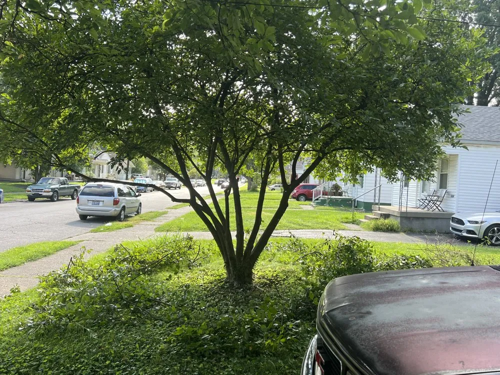 Professional yard cleanup service for year-round maintenance in Louisville, KY by Superman Handyman Shan