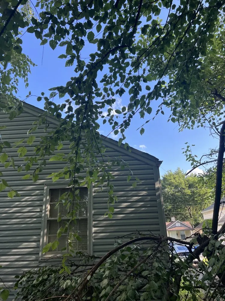 Local landscape installation for beautiful yards in Louisville, KY by Superman Handyman Shan