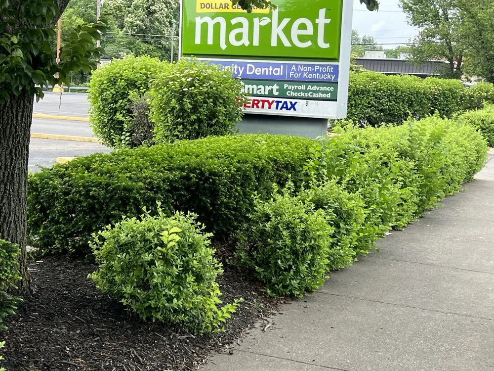 Trusted lawn care service for beautiful yards in Louisville, KY by Superman Handyman Shan