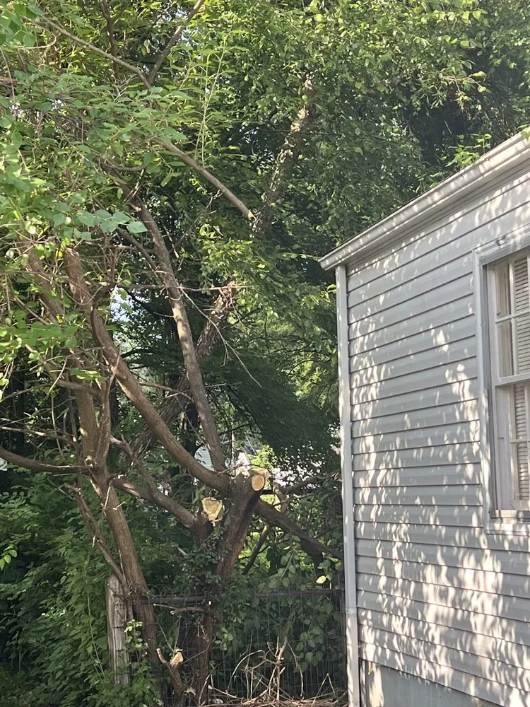 Professional lawn care service for outdoor upgrades across Louisville, KY - Superman Handyman Shan