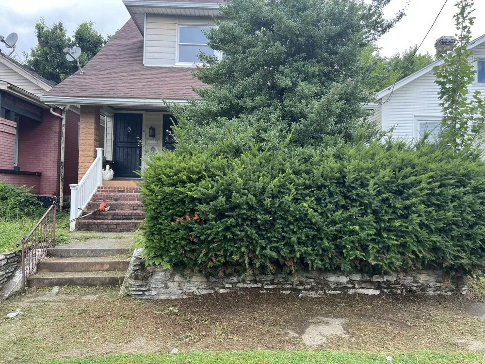 Affordable lawn care service for outdoor upgrades across Louisville, KY - Superman Handyman Shan