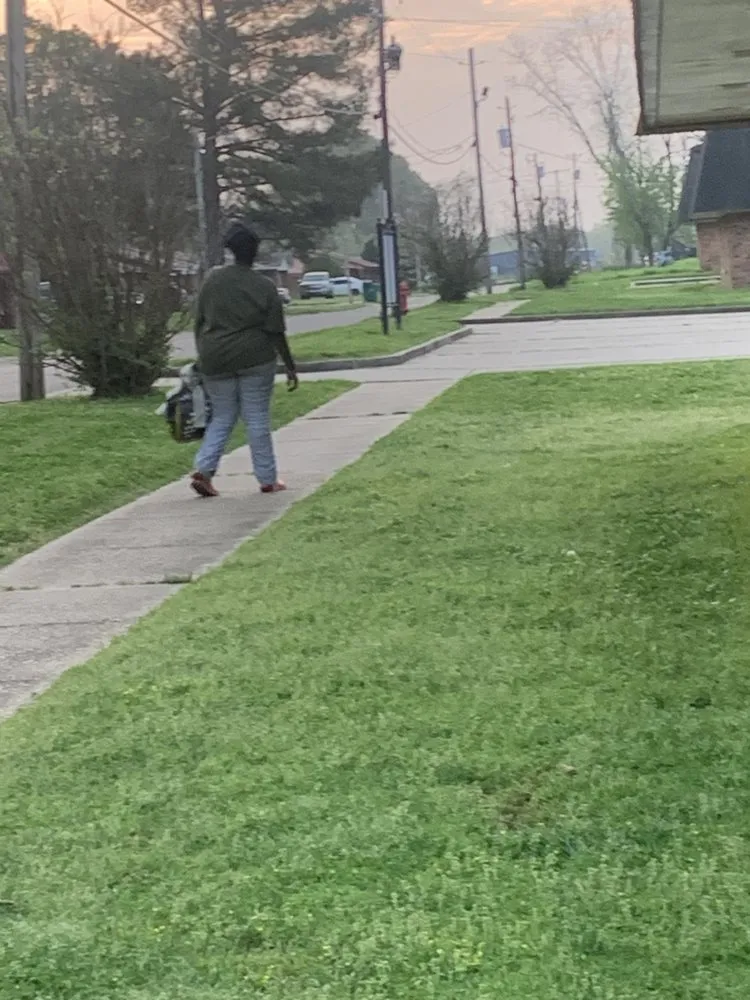 Local residential landscaping experts serving Port Gibson, MS - Superman Landscape