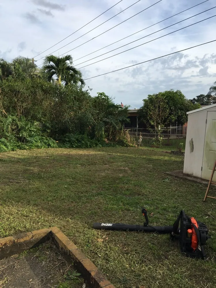 Expert landscaping services with custom design across Pembroke Pines, FL - Superman Lawn and Landscaping