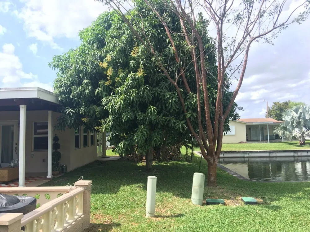 Top-rated yard maintenance with custom design across Pembroke Pines, FL - Superman Lawn and Landscaping