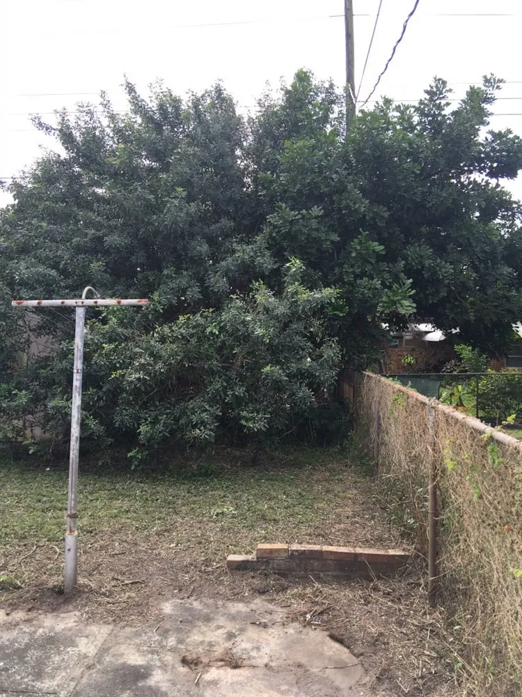 Local lawn care service for year-round maintenance in Pembroke Pines, FL by Superman Lawn and Landscaping