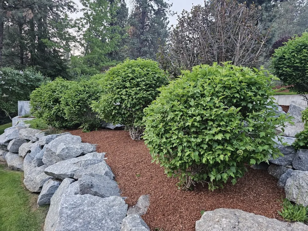 Professional lawn care service in Spokane, WA by Supernova Landscape