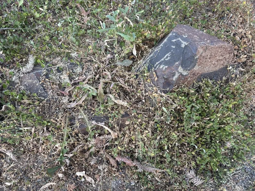 Custom yard maintenance in Spokane, WA by Supernova Landscape