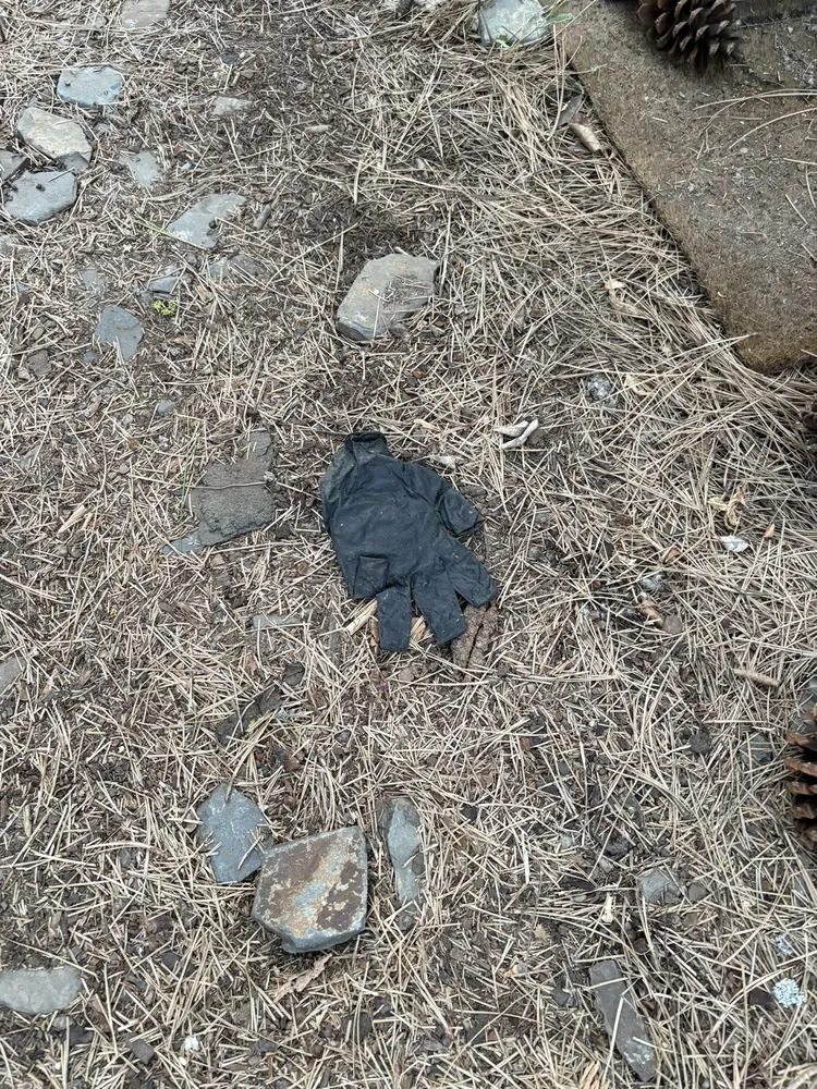 Trusted lawn care service in Spokane, WA - Supernova Landscape