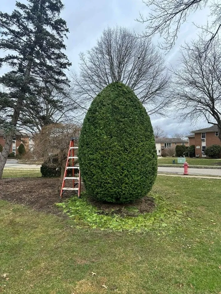 Professional landscape design in Spokane, WA by Supernova Landscape