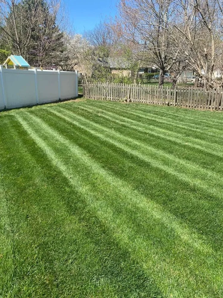 Affordable lawn care service in Spokane, WA - Supernova Landscape
