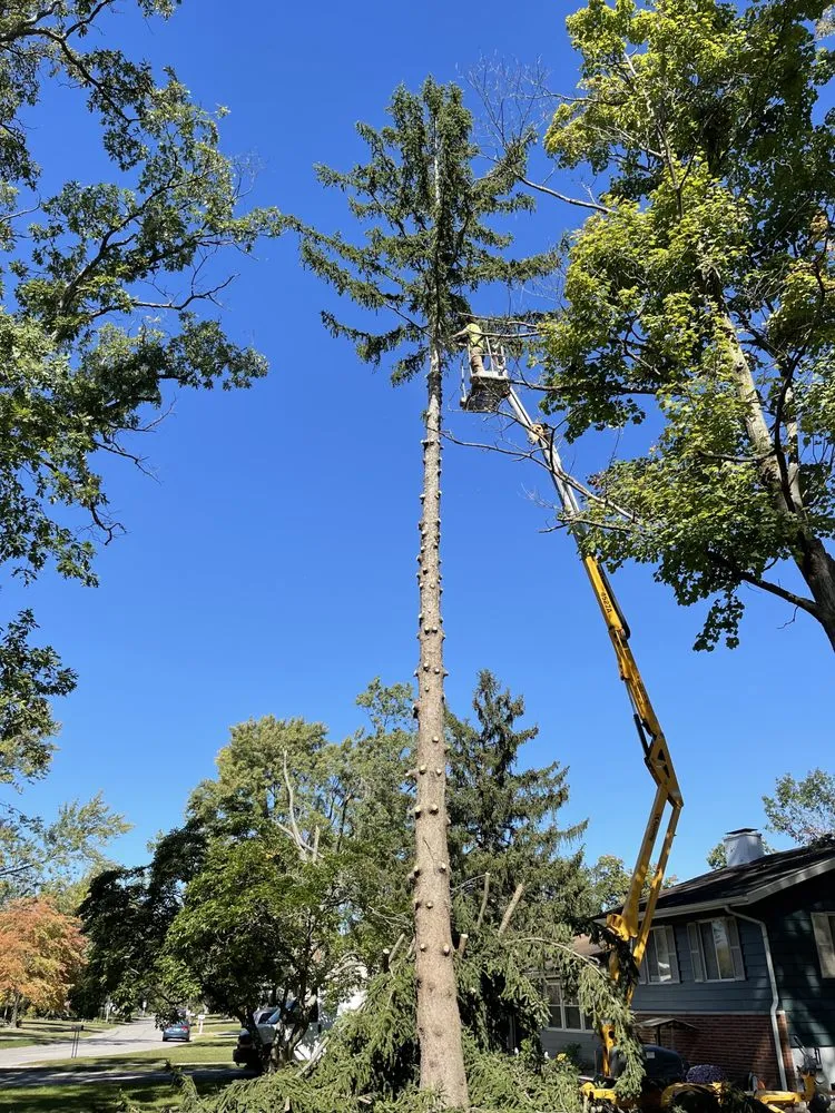 Custom landscaping services experts serving Fort Wayne, IN - Superscape Landscaping & More