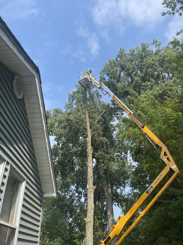 Expert landscaping services for outdoor upgrades in Fort Wayne, IN by Superscape Landscaping & More