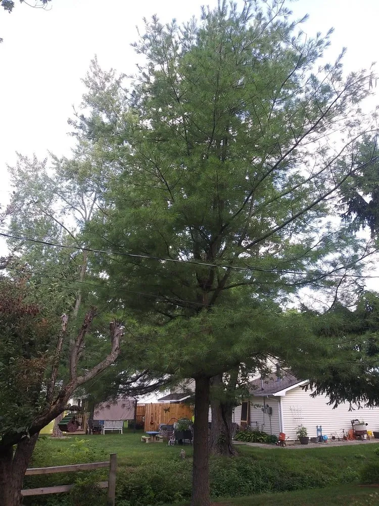 Top-rated landscape installation in Fort Wayne, IN - Superscape Landscaping & More