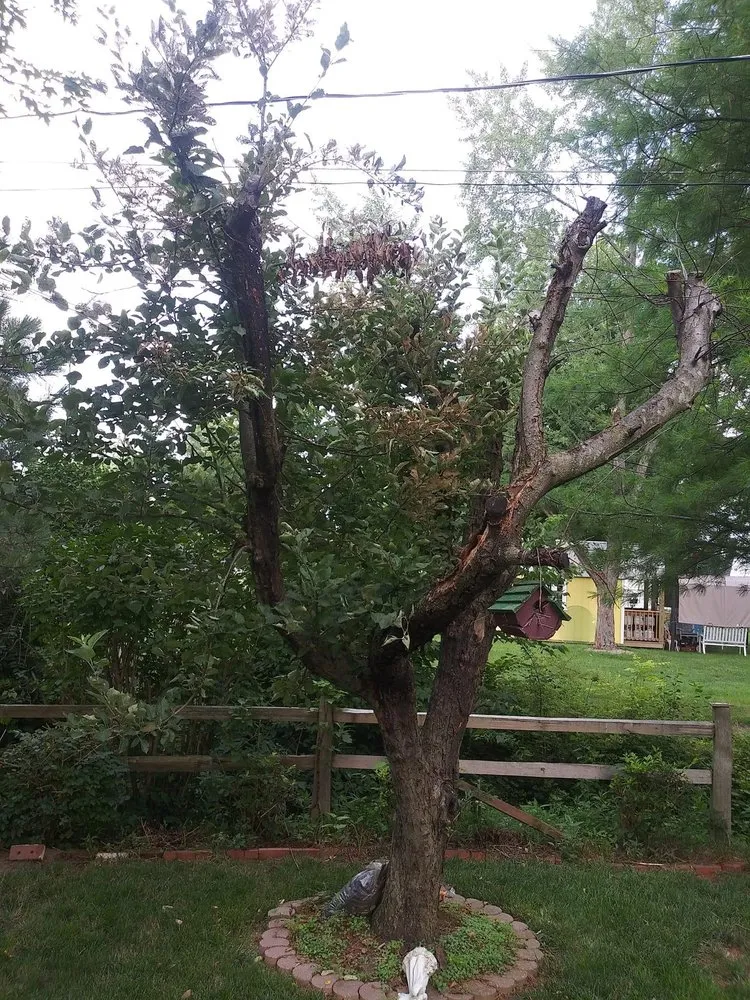 Reliable lawn care service experts serving Fort Wayne, IN - Superscape Landscaping & More