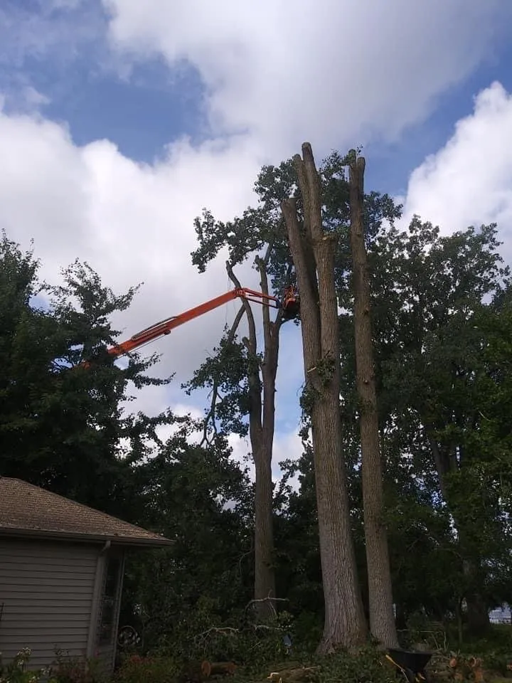 Reliable lawn mowing service experts serving Fort Wayne, IN - Superscape Landscaping & More