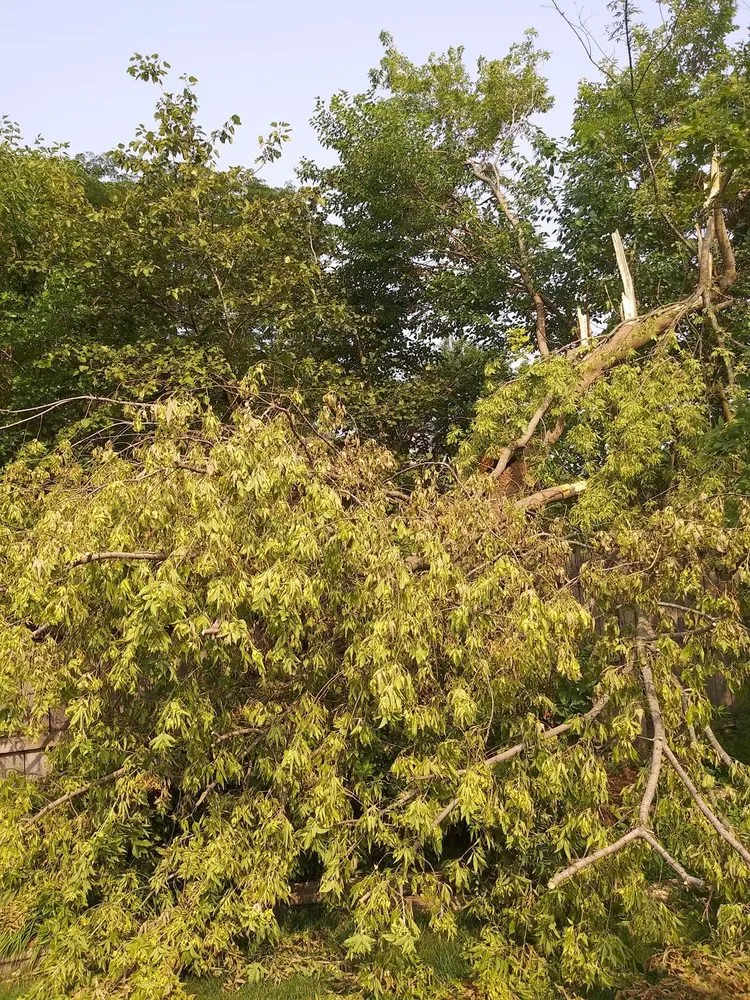 Reliable lawn care service for year-round maintenance across Fort Wayne, IN - Superscape Landscaping & More