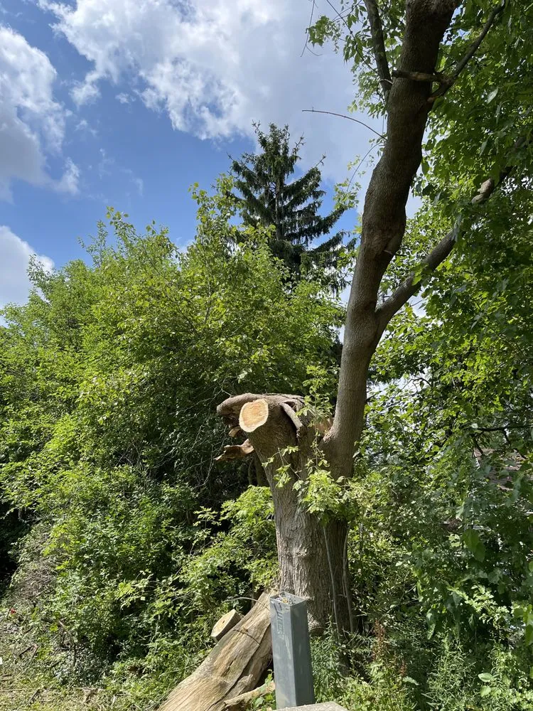 Trusted lawn mowing service in Fort Wayne, IN by Superscape Landscaping & More