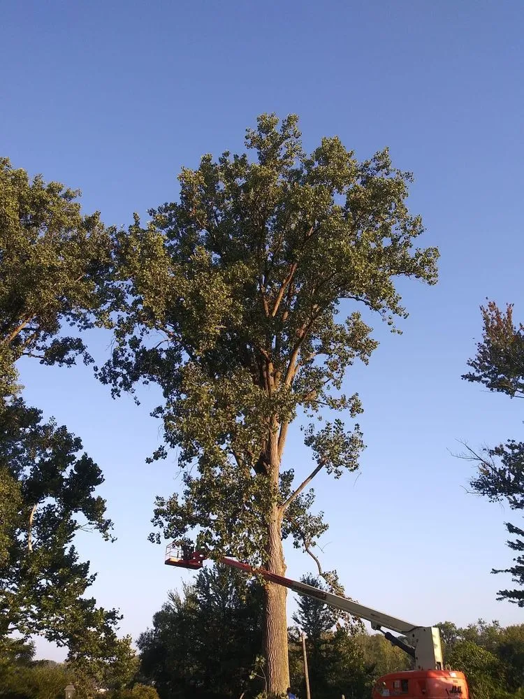 Reliable outdoor landscaping with custom design in Fort Wayne, IN by Superscape Landscaping & More