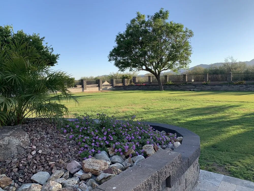Reliable residential landscaping for year-round maintenance across Peoria, AZ - Superscape