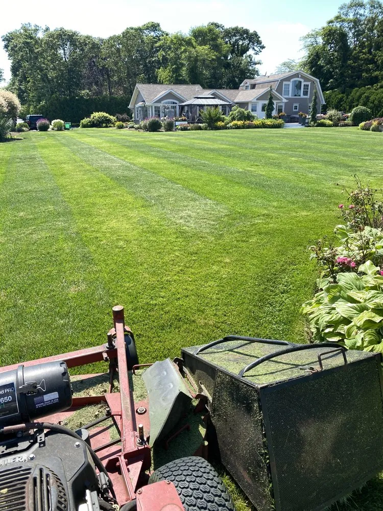 Trusted lawn care service in Conway, SC - Superscapes South