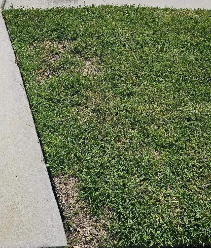 Top-rated lawn care service in Bradenton, FL by Superstar Landscaping