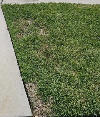 Superstar Landscaping Logo