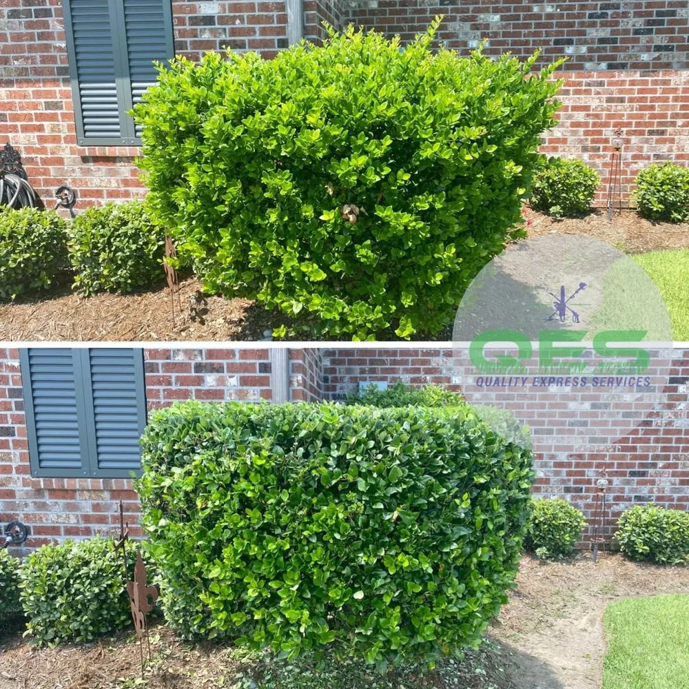 Custom garden landscaping for beautiful yards across Phenix City, AL - Superstar Services