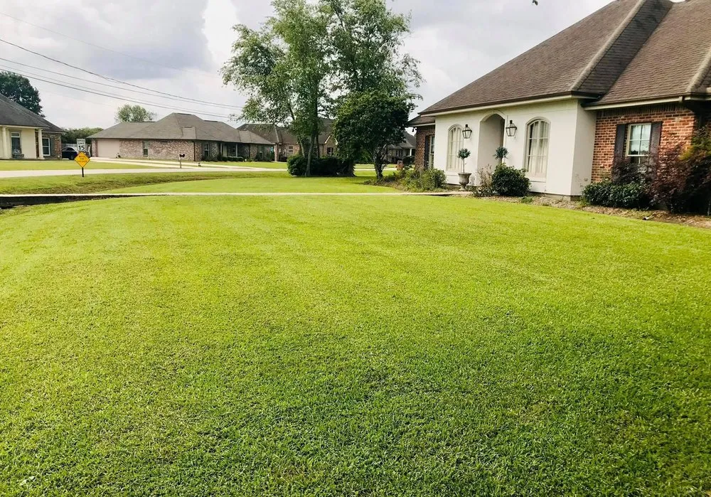 Trusted lawn care service for outdoor upgrades in Phenix City, AL by Superstar Services