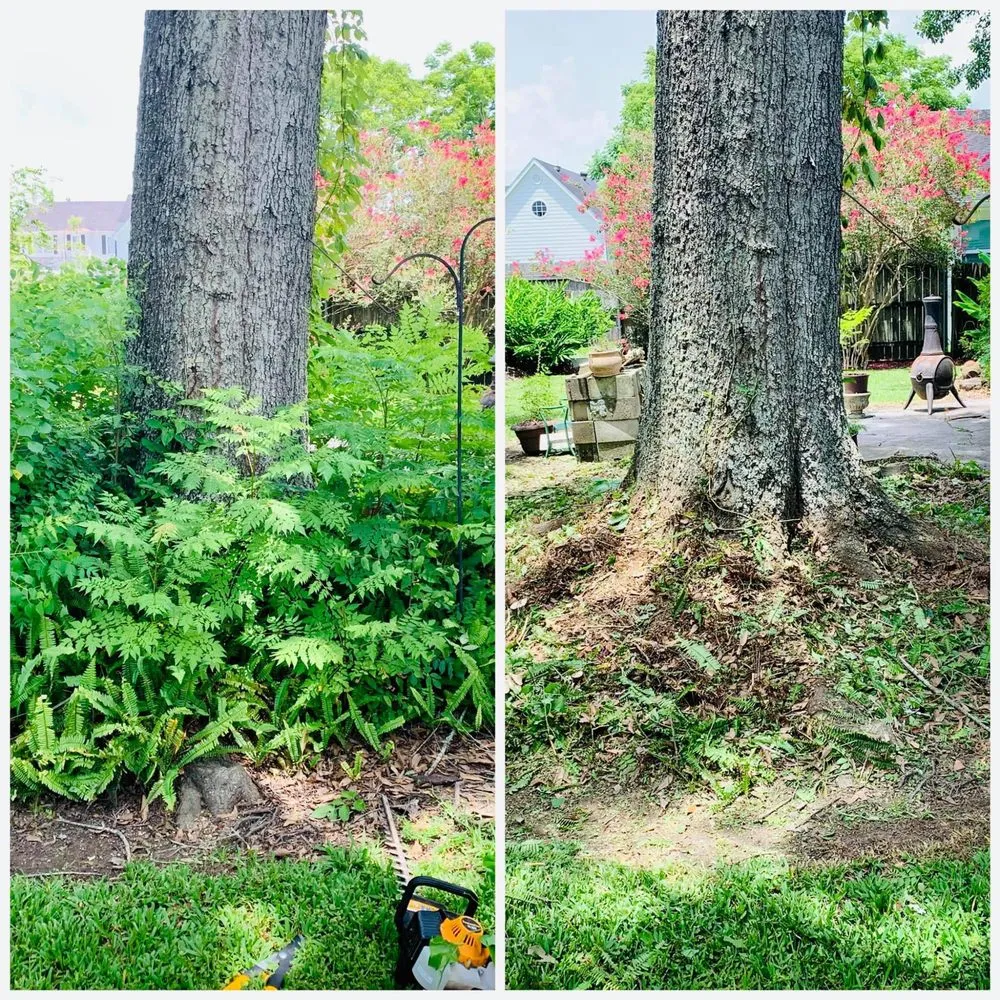 Expert garden landscaping experts serving Phenix City, AL - Superstar Services