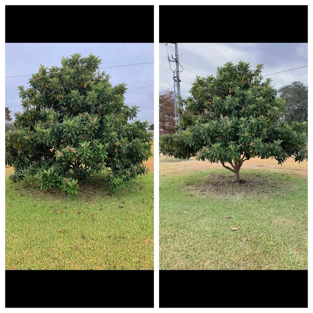 Trusted yard maintenance in Phenix City, AL by Superstar Services