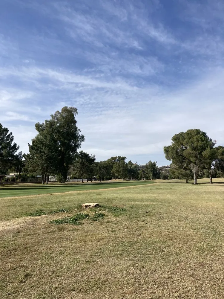 Professional residential landscaping in Phoenix, AZ - Superstition Landscapes