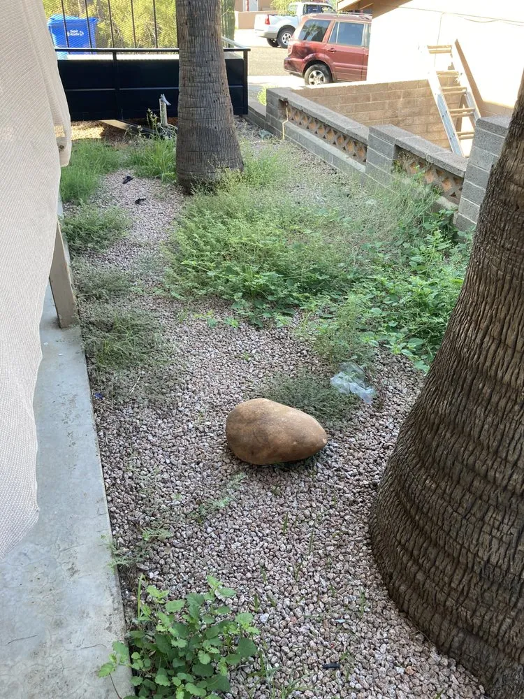 Custom landscape installation in Phoenix, AZ by Superstition Landscapes