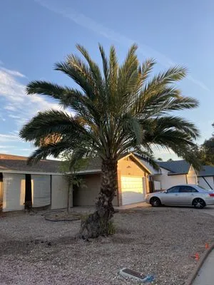 Superstition Landscapes Logo