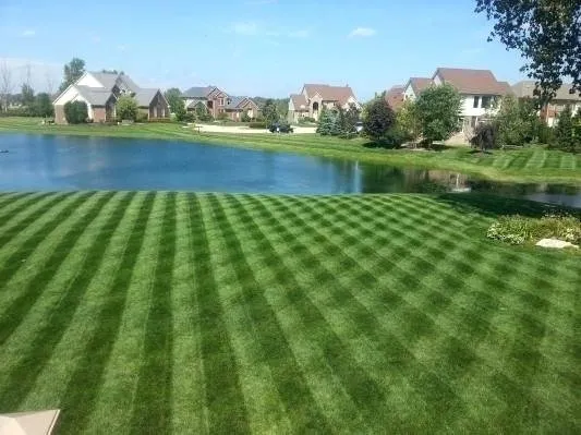 Expert yard cleanup service for beautiful yards across Ofallon, IL - SuperYard Lawn Care