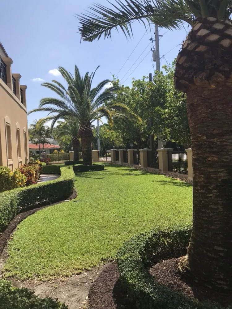 Trusted yard cleanup service in Miami, FL - SupraLawn