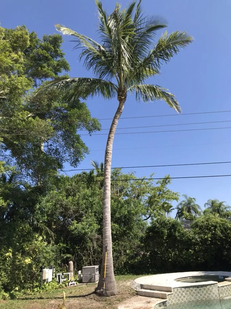 Affordable landscaping services for residential properties across Miami, FL - SupraLawn