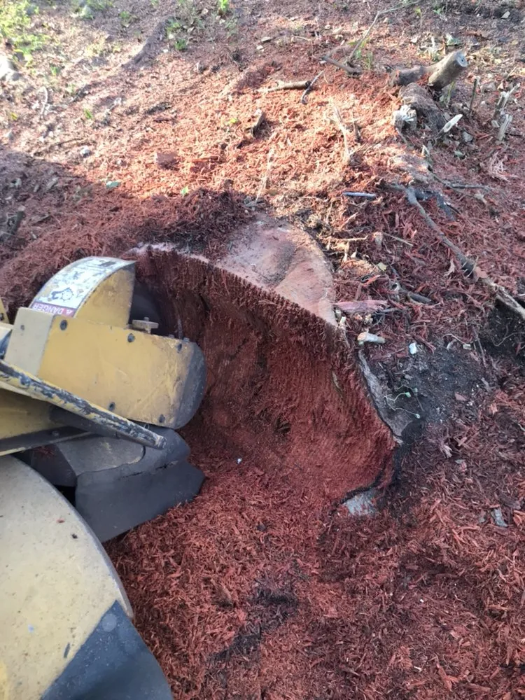 Reliable yard cleanup service with custom design in Miami, FL by SupraLawn