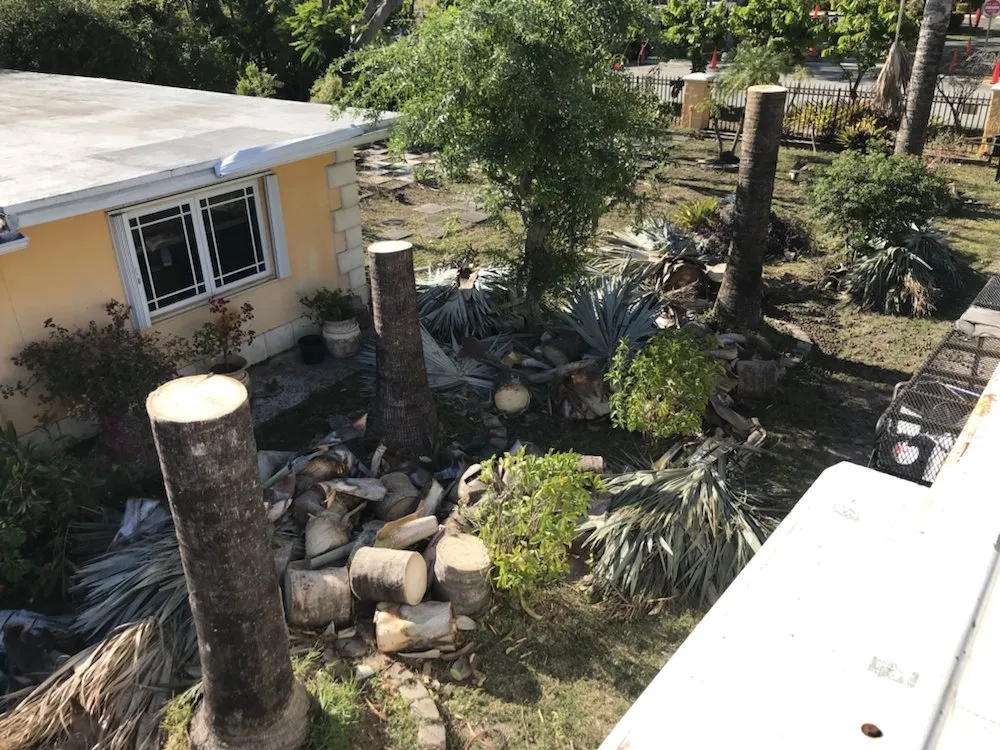 Local landscape installation in Miami, FL by SupraLawn