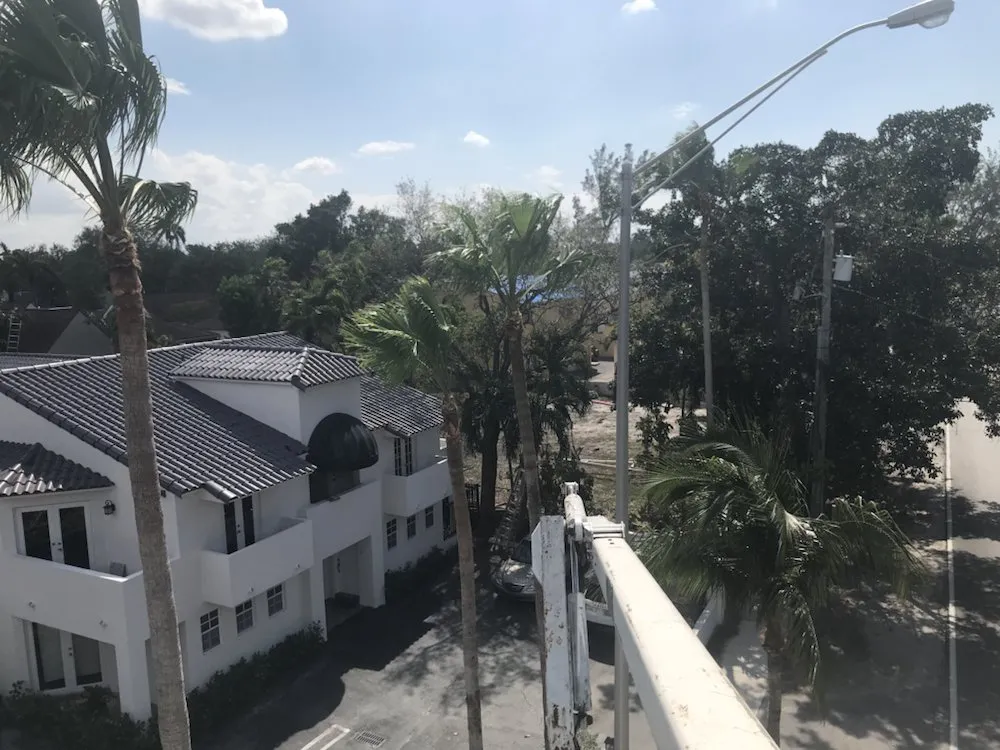 Reliable landscaping services in Miami, FL - SupraLawn