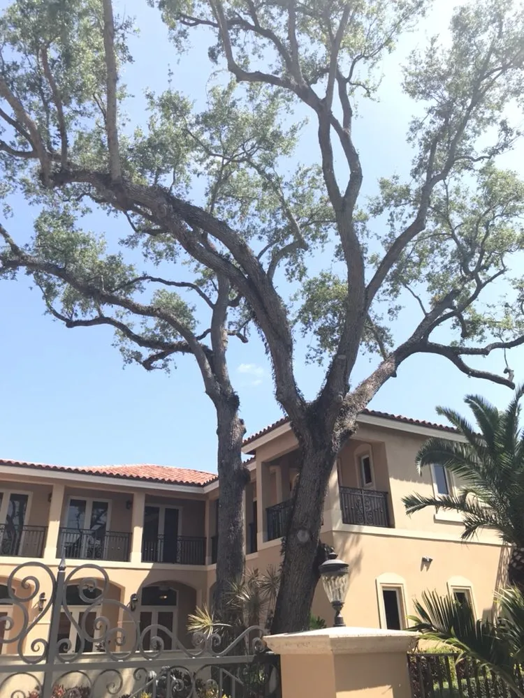 Expert landscaping services in Miami, FL - SupraLawn