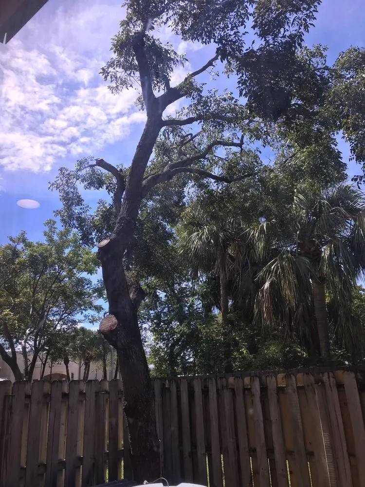 Trusted landscaping services for residential properties across Miami, FL - SupraLawn