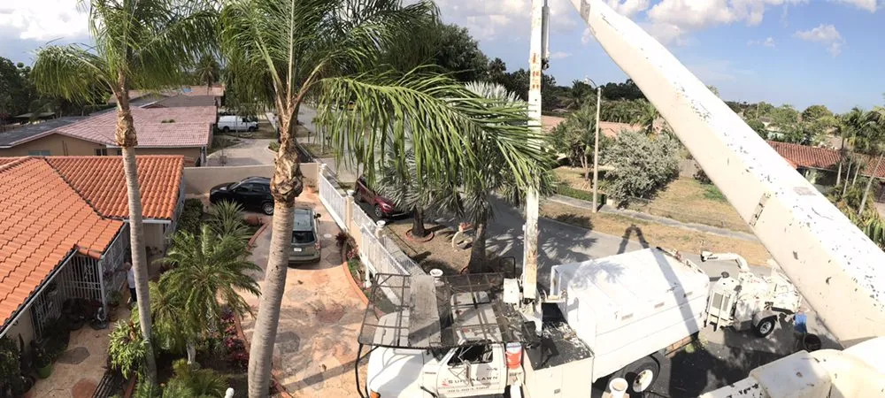 Reliable lawn mowing service near you across Miami, FL - SupraLawn