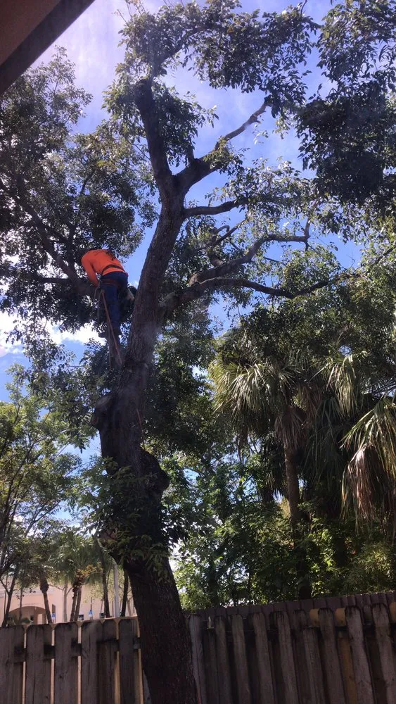 Local garden landscaping in Miami, FL - SupraLawn